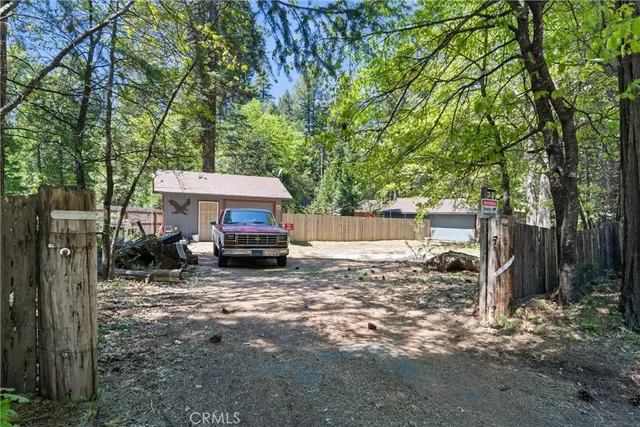 a view of a yard with plants and large trees