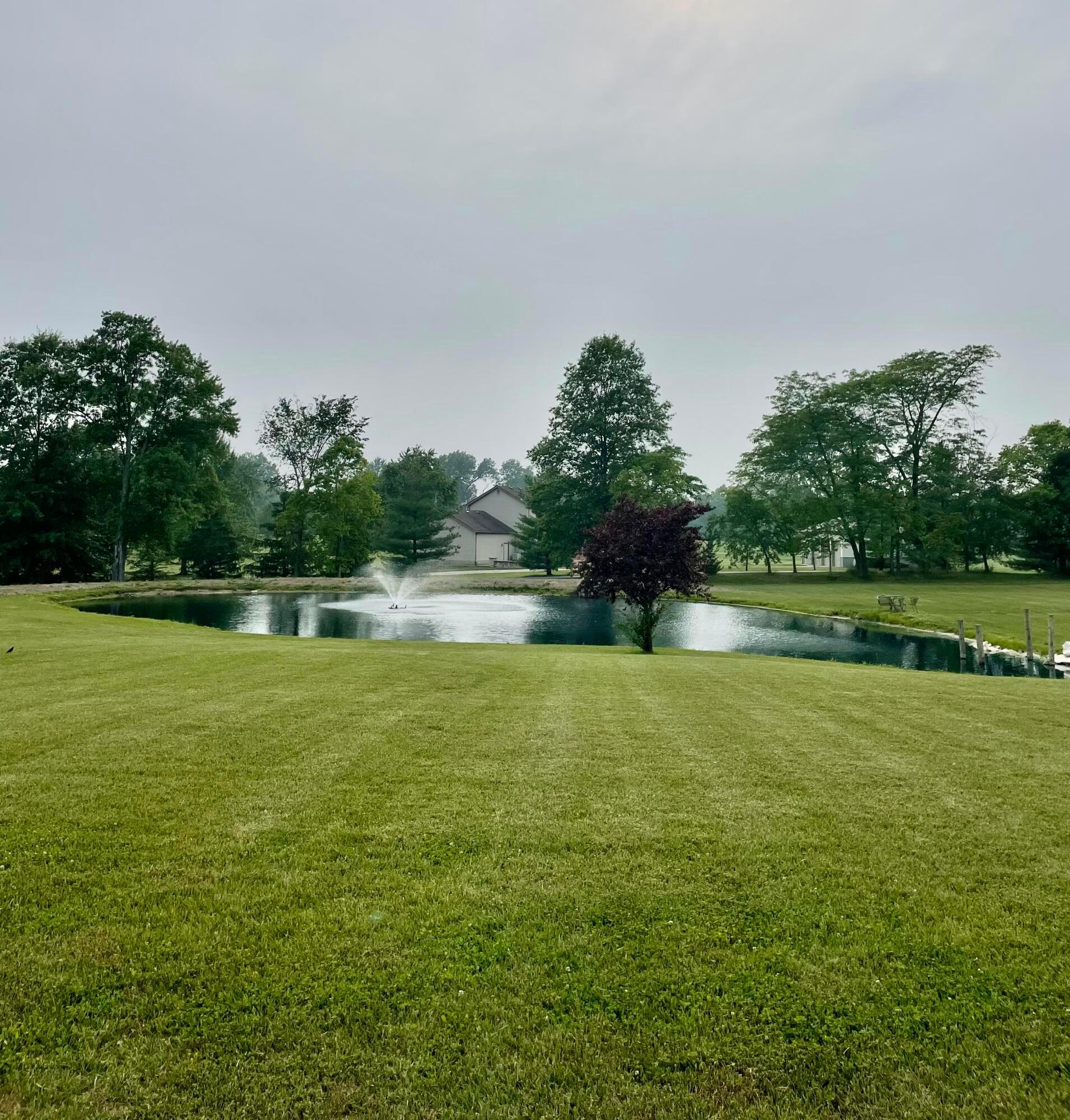 Stocked pond with fountain
