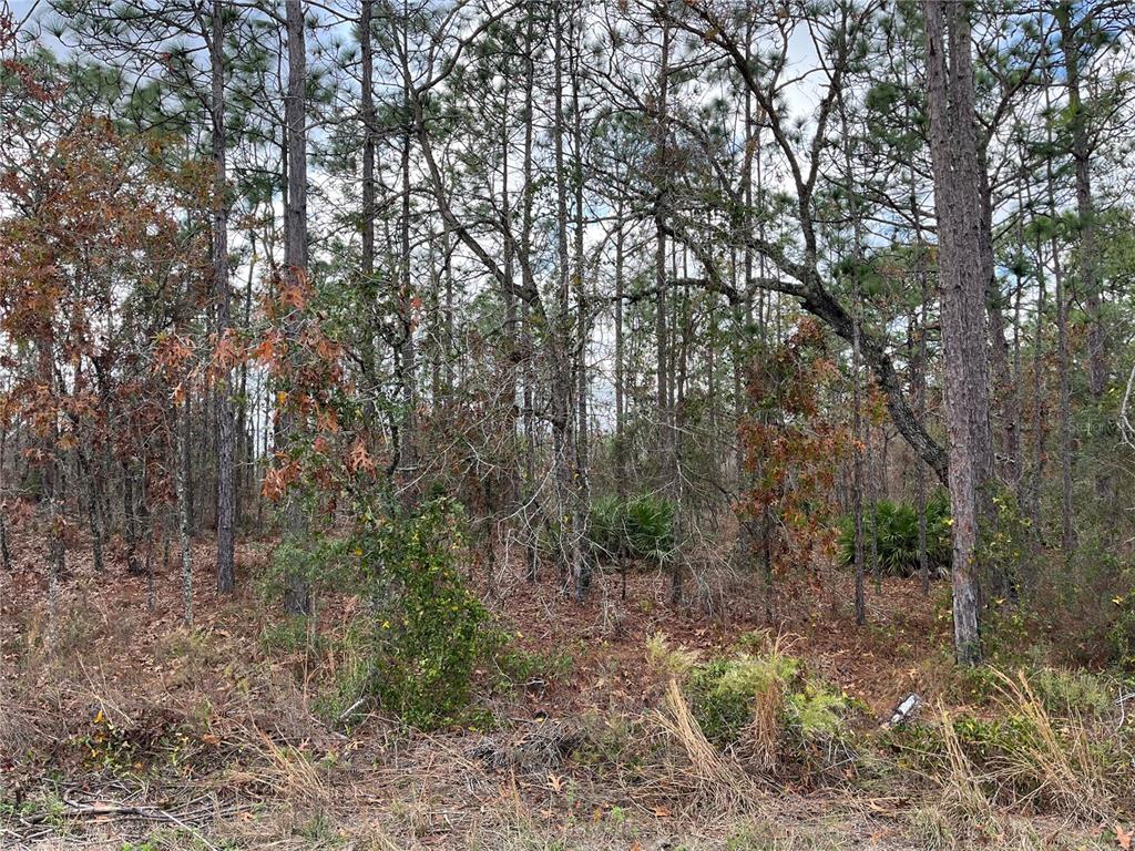 Greenback Road, Unit 14 Weeki Wachee, FL 34614 - Photo 1 of 1 Gallery Image 1