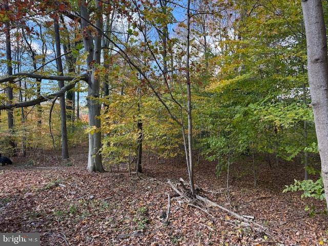 12 Pleasantwood Road Newark, DE 19702 - Photo 2 of 3 a backyard of a house with lots of plants and large trees