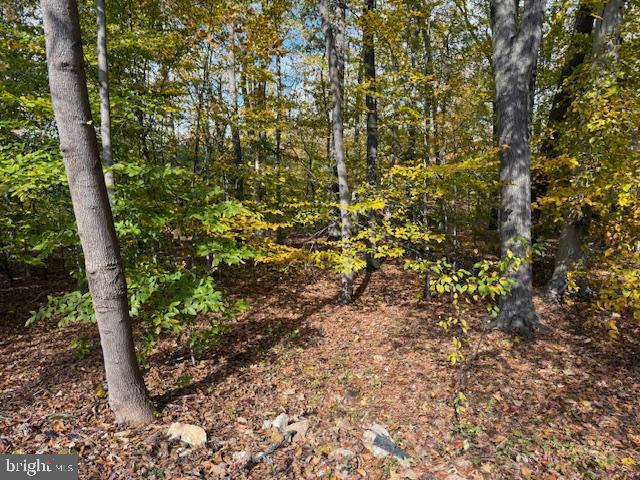 12 Pleasantwood Road Newark, DE 19702 - Photo 3 of 3 a view of a garden with plants