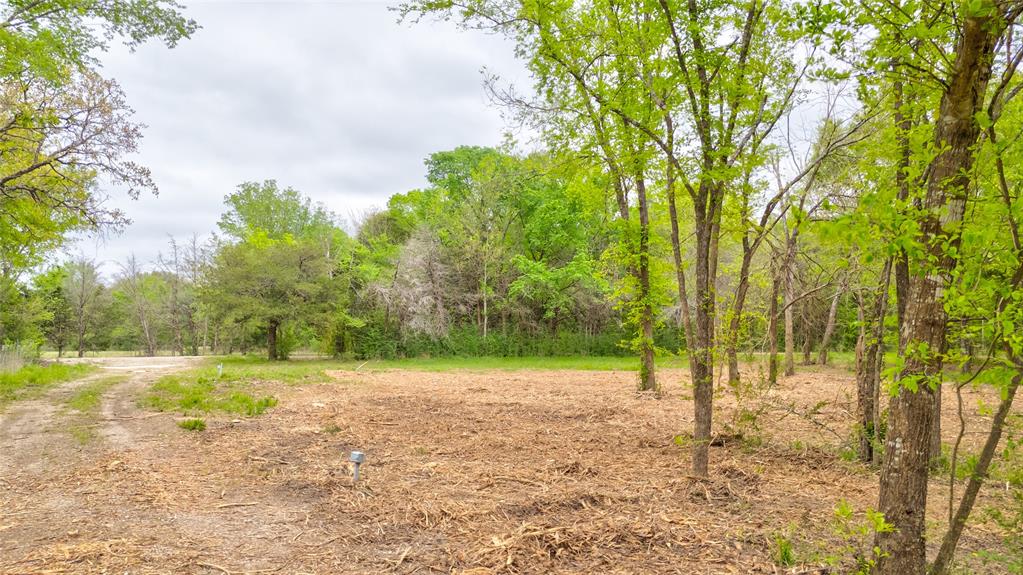 1411 Vz County Road 2139 Wills Point, TX 75169 - Photo 13 of 38