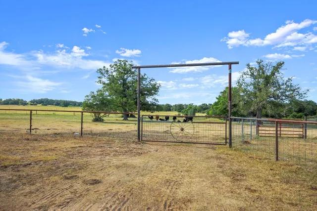 a view of a yard with a slide