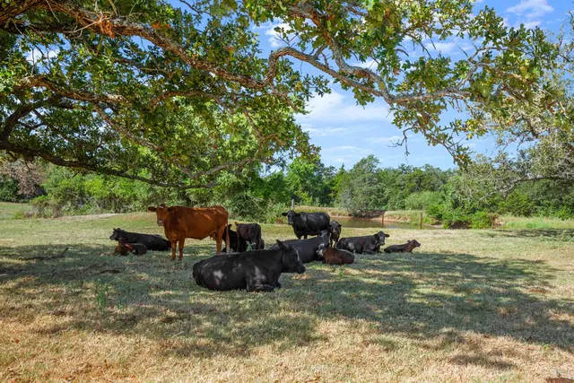 a view of a backyard with table and chairs