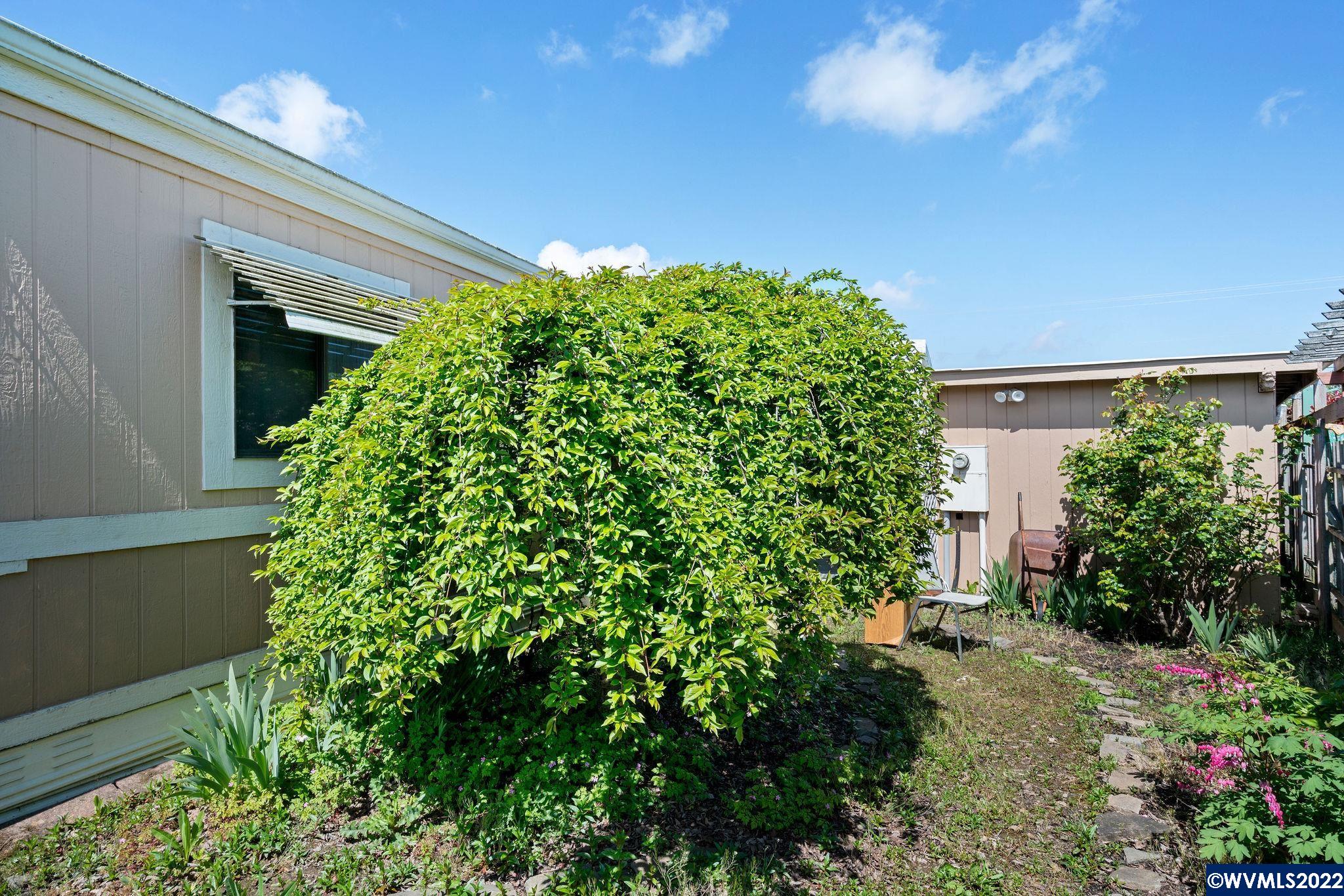 4294 Hazelgreen Road Northeast, Unit 27 Salem, OR 97305 - Photo 17 of 18 Gallery Image 17