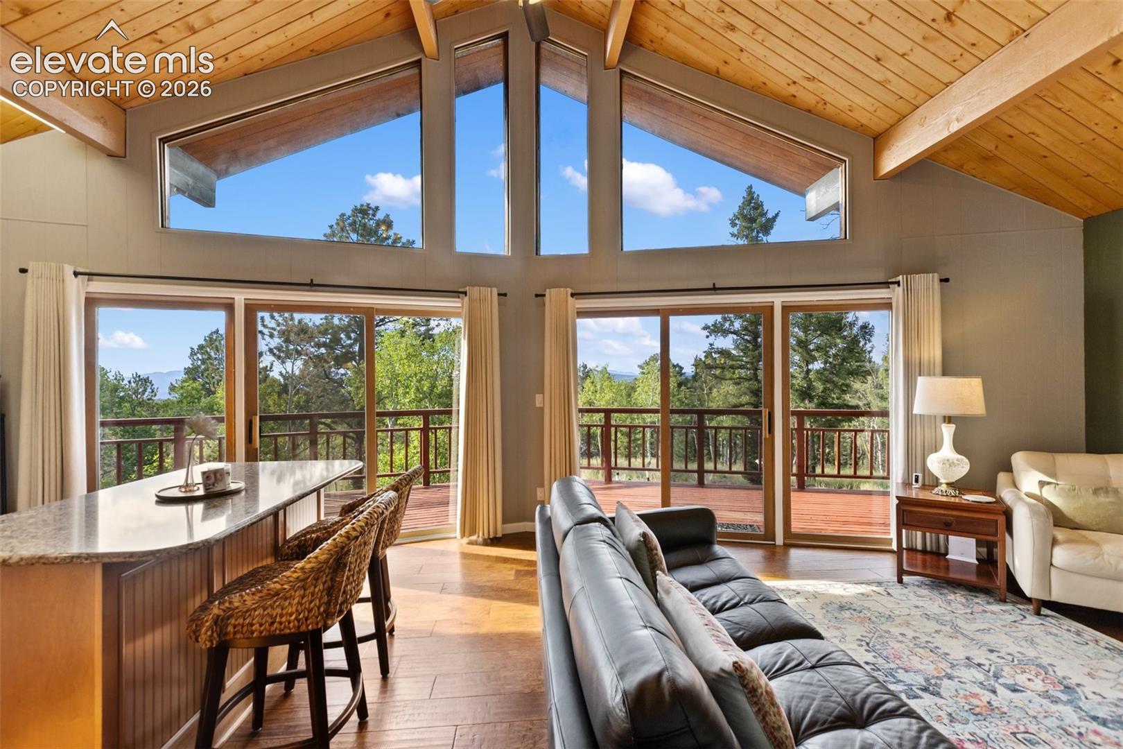307 Berylium Road Florissant, CO 80816 - Photo 11 of 49 Gallery Image 11