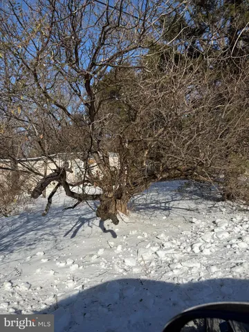 $38,100 | 389 Fellows Drive, Front Royal, VA 22630