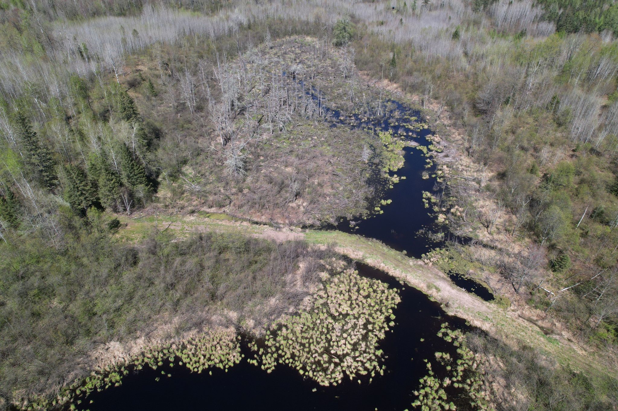 Off Hay Creek Road Prentice, WI 54556 - Photo 13 of 44