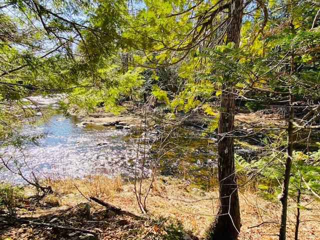 0 Bud Grant Road Monroe, ME 04951 - Photo 5 of 17 IMG_2725