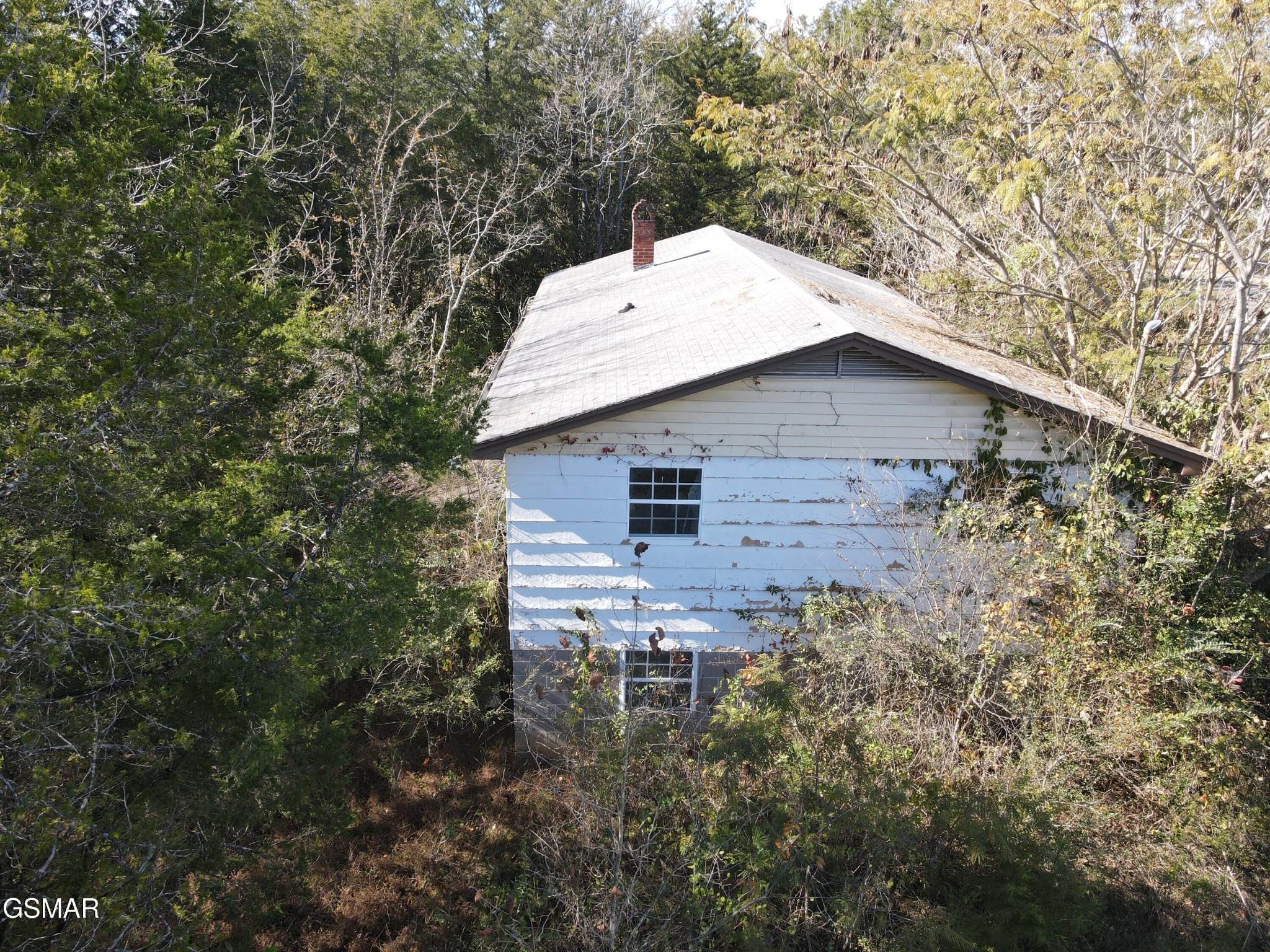 3531 Curtis Road Strawberry Plains, TN 37871 - Photo 8 of 9 Gallery Image 8