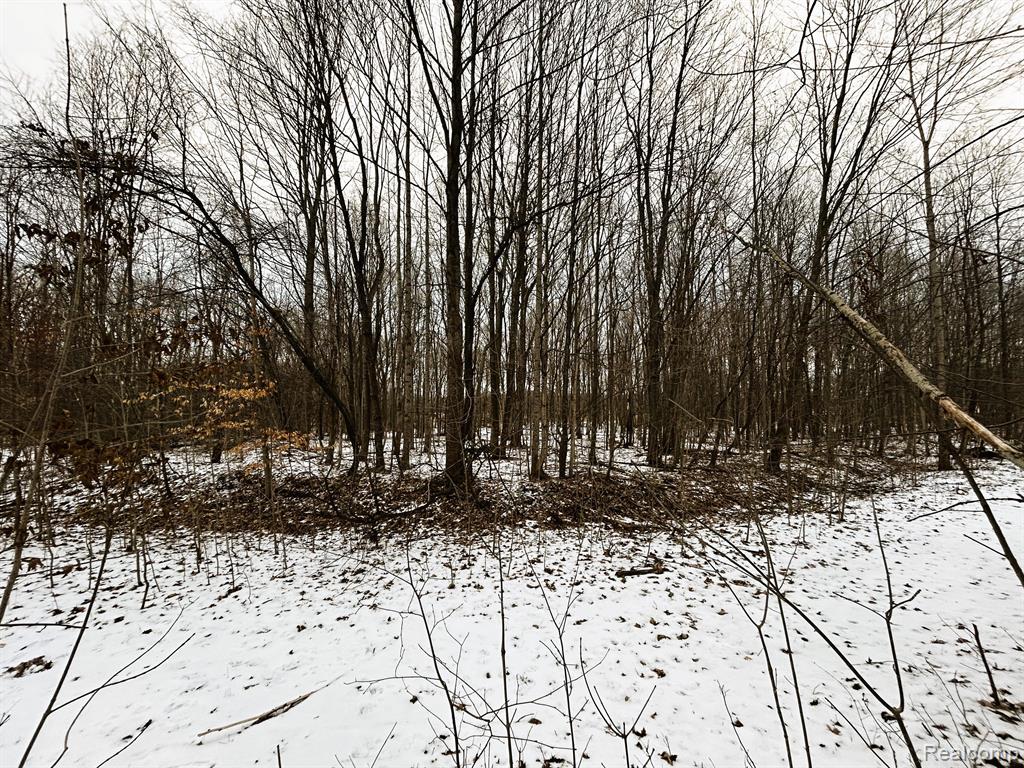 1726 Peavy Road Howell, MI 48843 - Photo 39 of 43