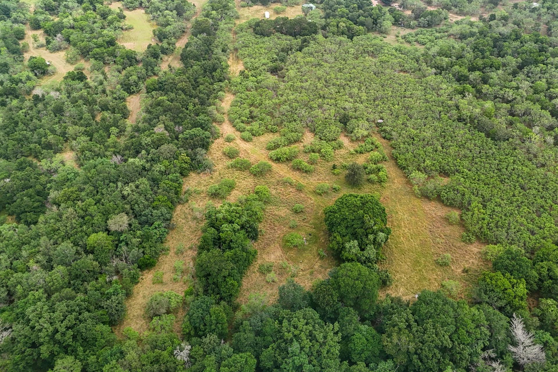 645 Jerrys Creek Road Lockhart, TX 78644 - Photo 12 of 16