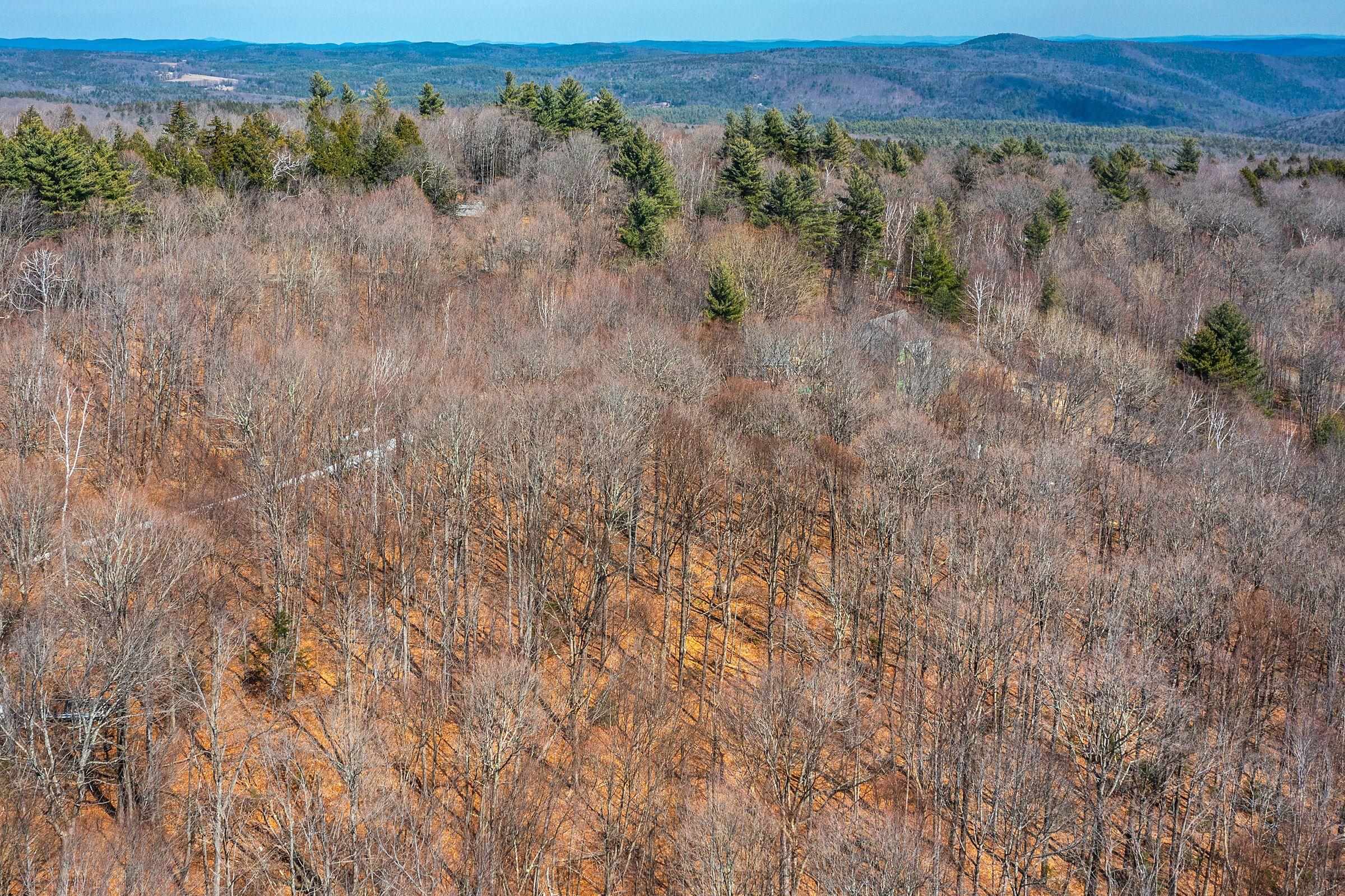 78 Captain Copeland Road, Unit LOT #2 East Dover, VT 05341 - Photo 11 of 13