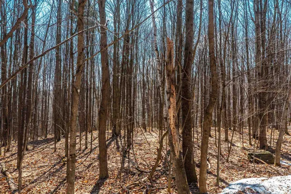 $99,000 | 78 Captain Copeland Road, Unit LOT #2, East Dover, VT 05341