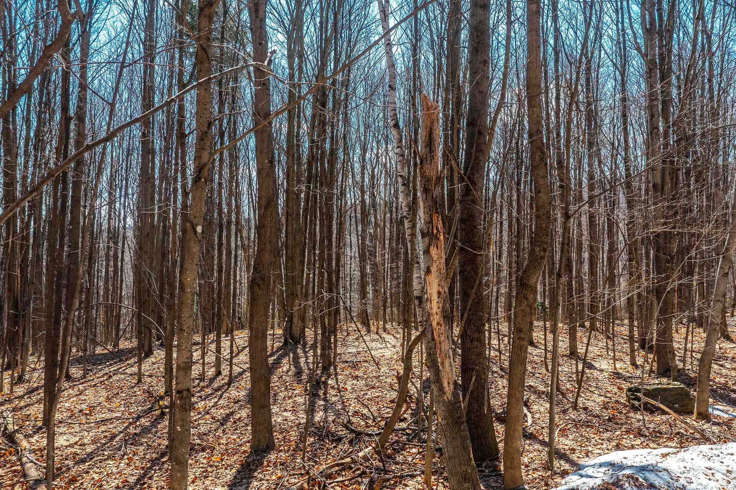 78 Captain Copeland Road, Unit LOT #2 East Dover, VT 05341 - Photo 12 of 13