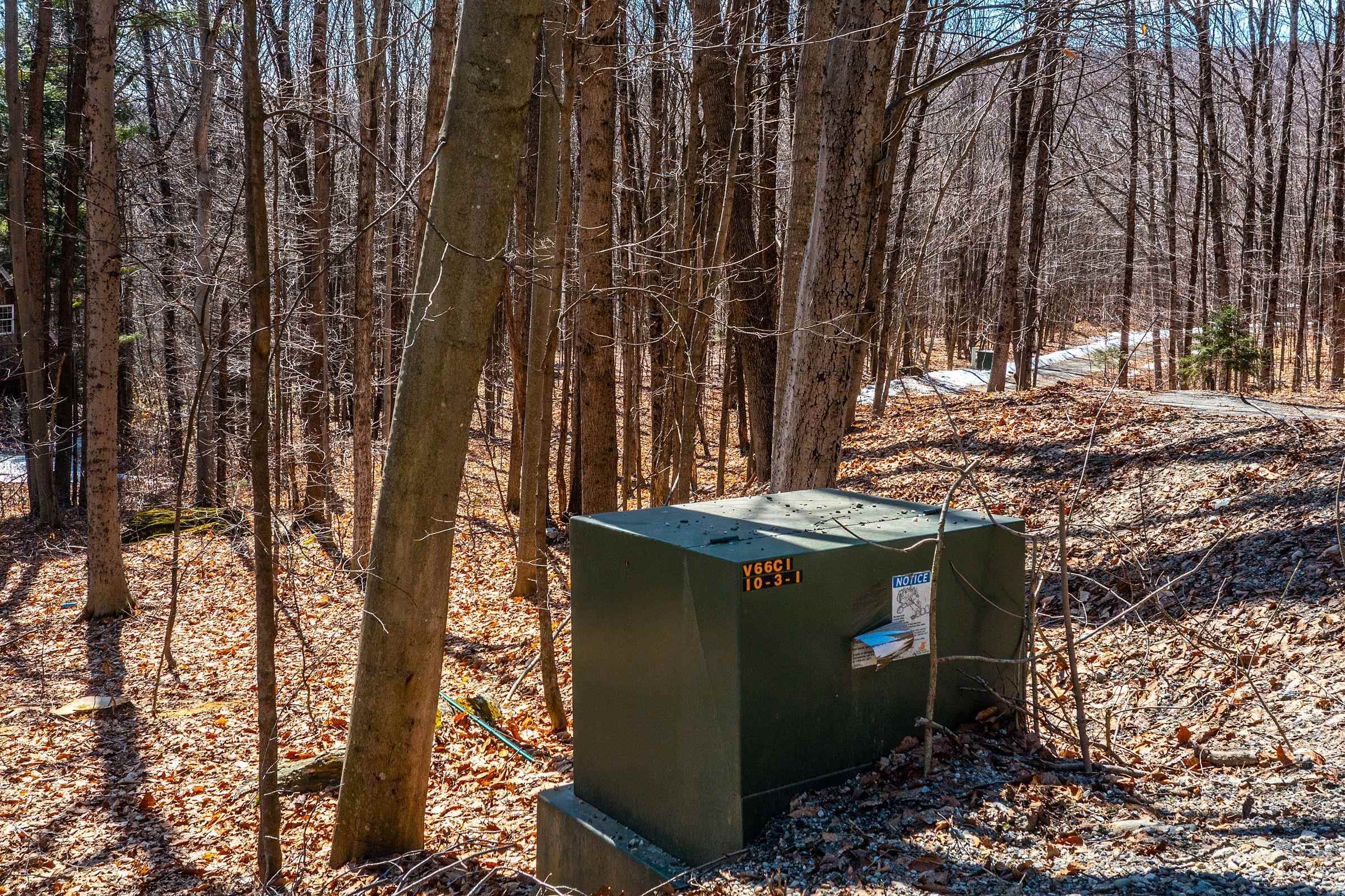 78 Captain Copeland Road, Unit LOT #2 East Dover, VT 05341 - Photo 13 of 13