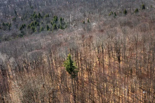 $99,000 | 78 Captain Copeland Road, Unit LOT #2, East Dover, VT 05341