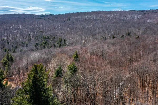 $99,000 | 78 Captain Copeland Road, Unit LOT #2, East Dover, VT 05341