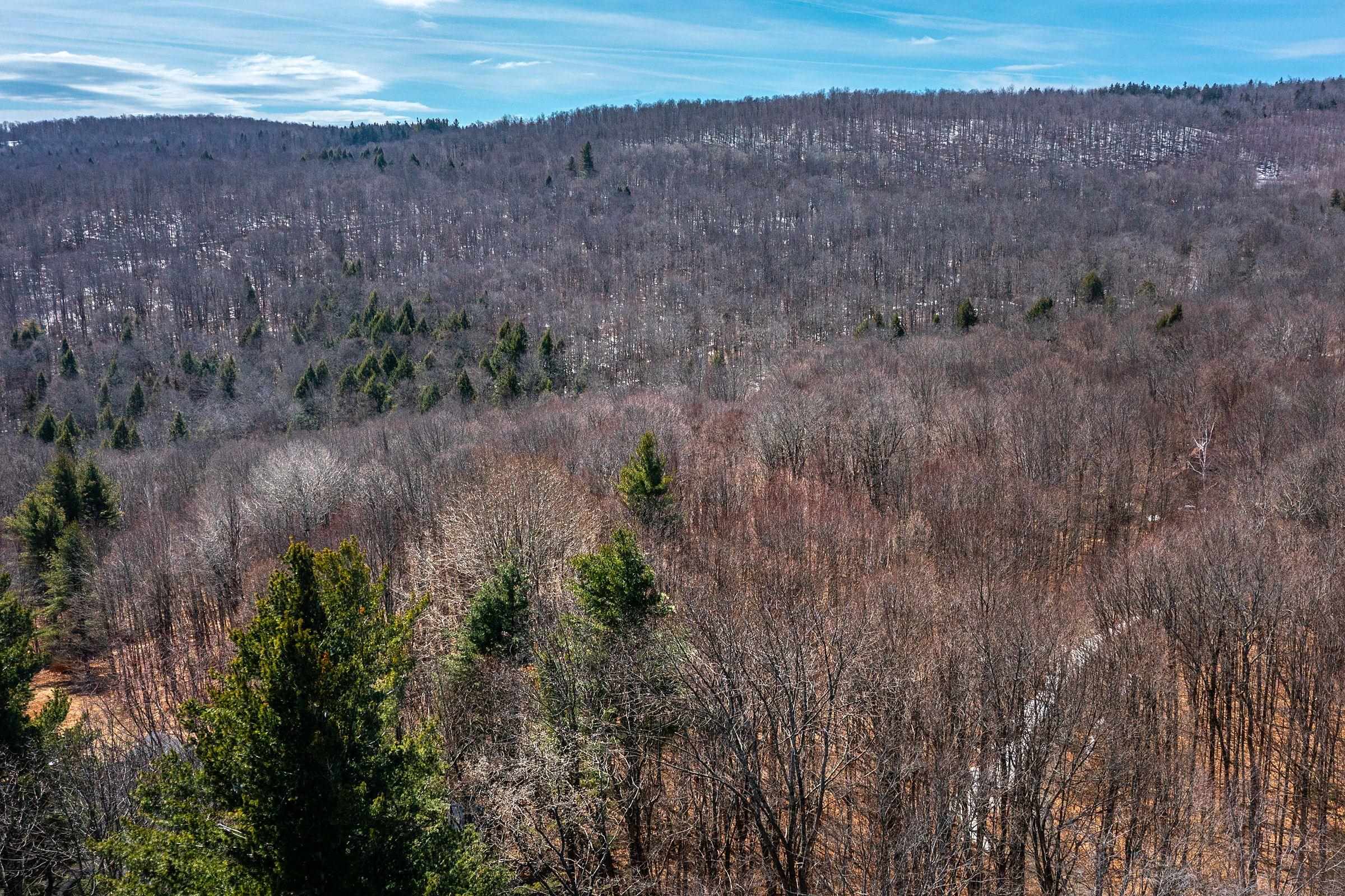 78 Captain Copeland Road, Unit LOT #2 East Dover, VT 05341 - Photo 4 of 13