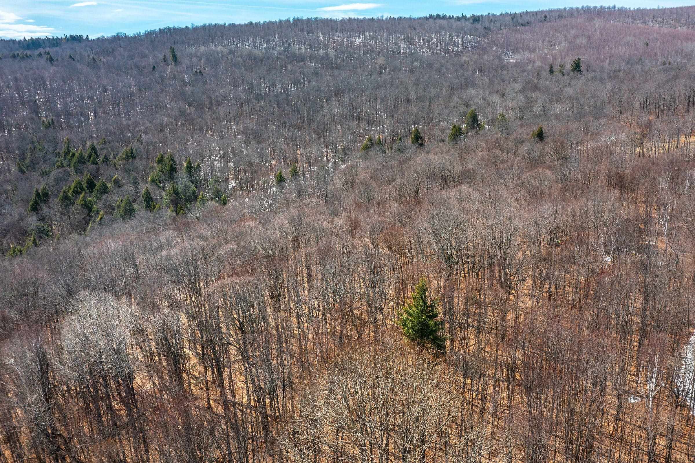 78 Captain Copeland Road, Unit LOT #2 East Dover, VT 05341 - Photo 5 of 13