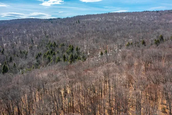 $99,000 | 78 Captain Copeland Road, Unit LOT #2, East Dover, VT 05341