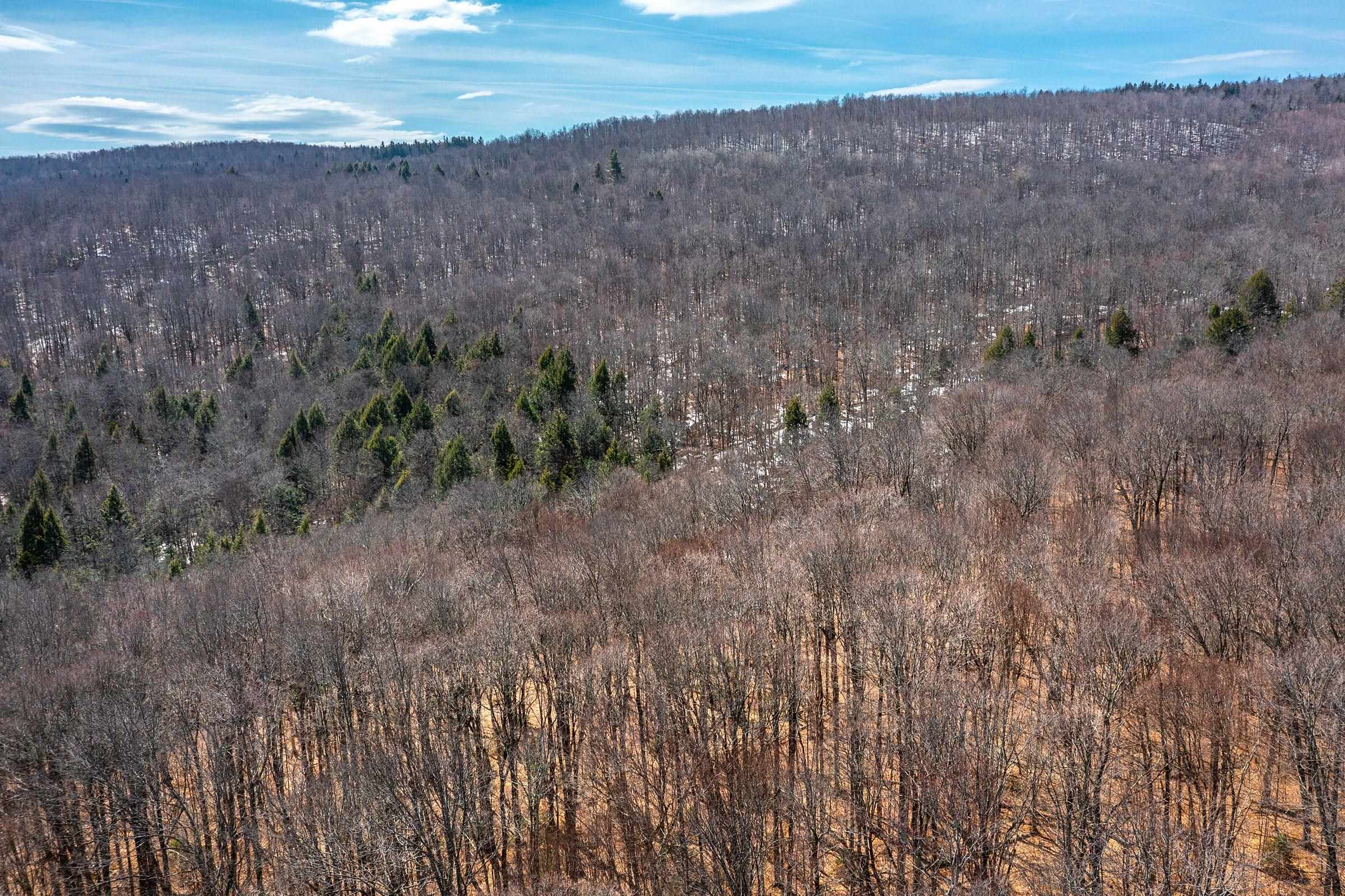 78 Captain Copeland Road, Unit LOT #2 East Dover, VT 05341 - Photo 6 of 13