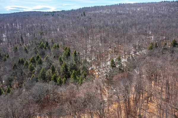 $99,000 | 78 Captain Copeland Road, Unit LOT #2, East Dover, VT 05341