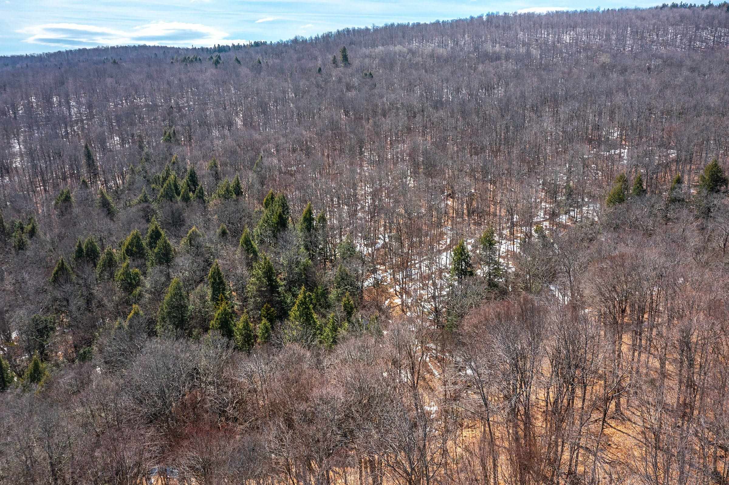 78 Captain Copeland Road, Unit LOT #2 East Dover, VT 05341 - Photo 7 of 13