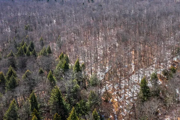 $99,000 | 78 Captain Copeland Road, Unit LOT #2, East Dover, VT 05341