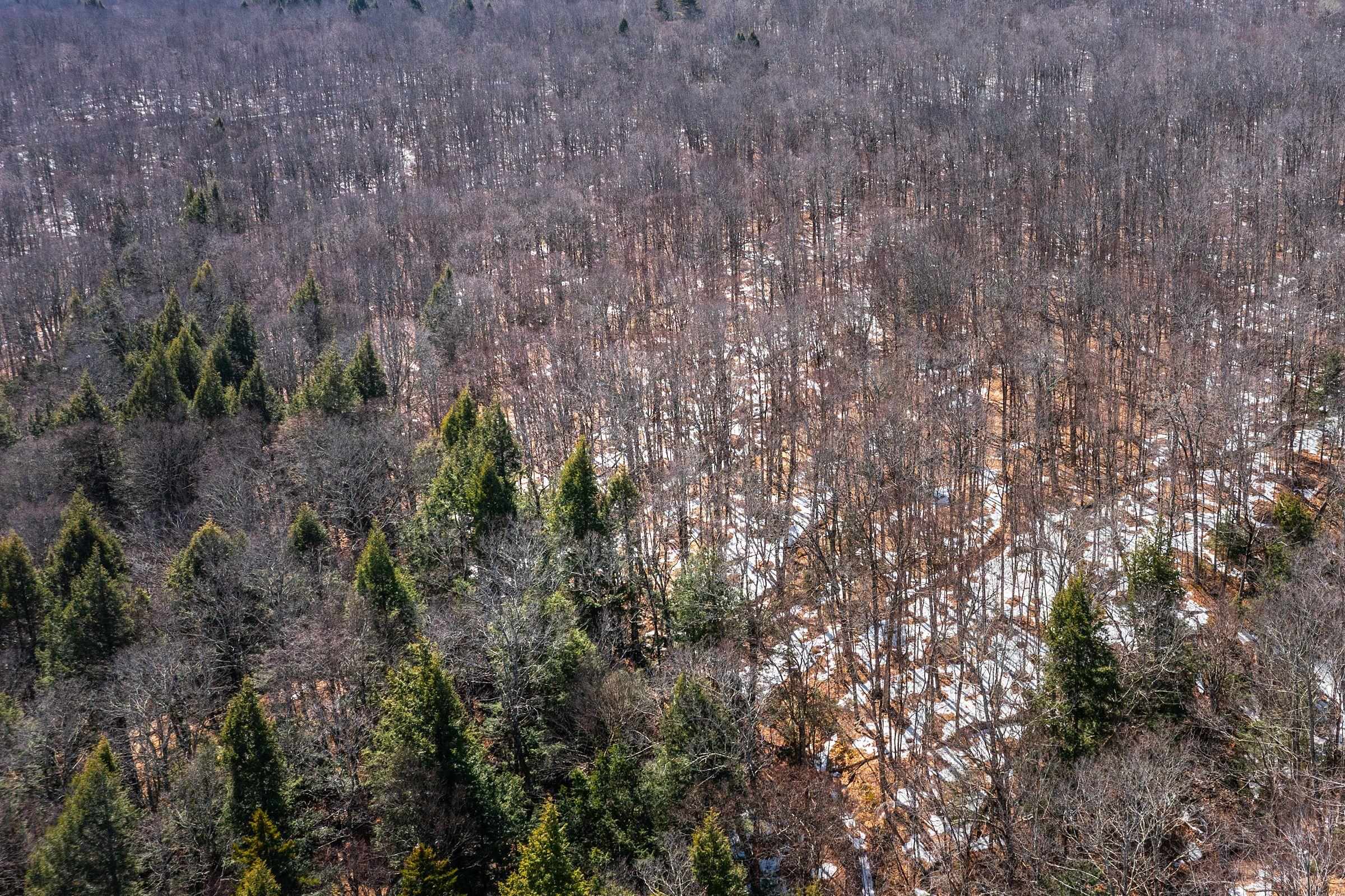 78 Captain Copeland Road, Unit LOT #2 East Dover, VT 05341 - Photo 8 of 13