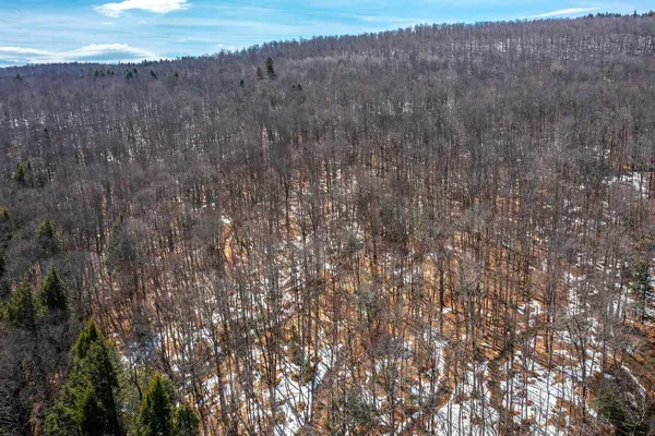 $99,000 | 78 Captain Copeland Road, Unit LOT #2, East Dover, VT 05341