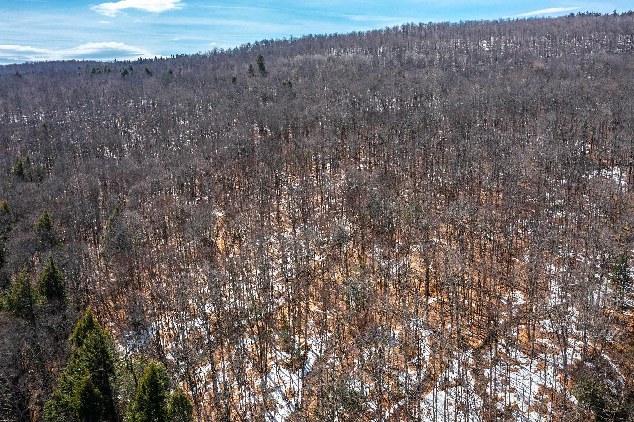 78 Captain Copeland Road, Unit LOT #2 East Dover, VT 05341 - Photo 9 of 13