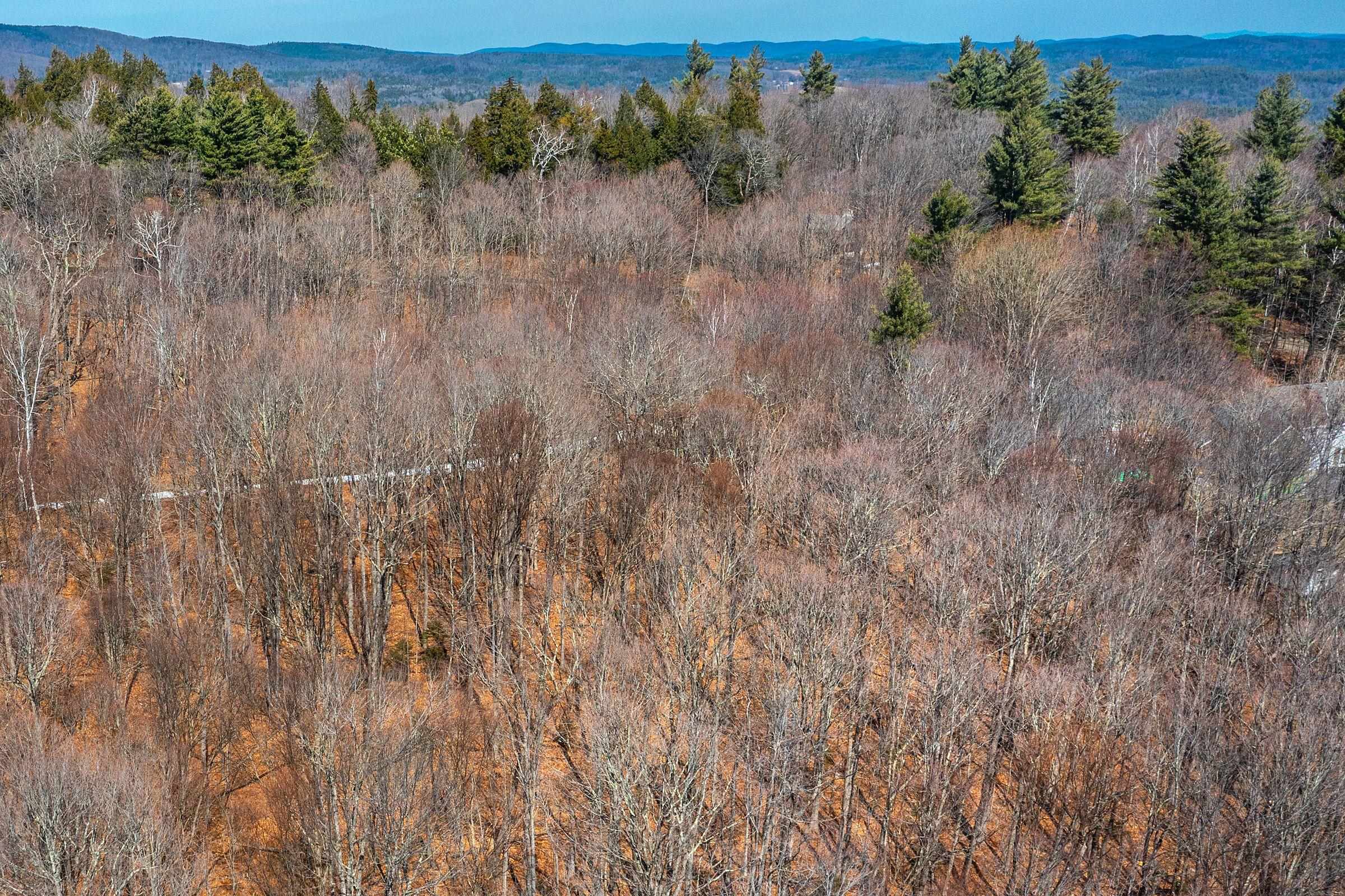 78 Captain Copeland Road, Unit LOT #2 East Dover, VT 05341 - Photo 10 of 13