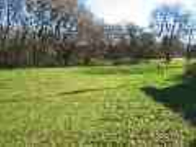 1720 West Territorial Road Camden, MI 49232 - Photo 5 of 11 Photo 5