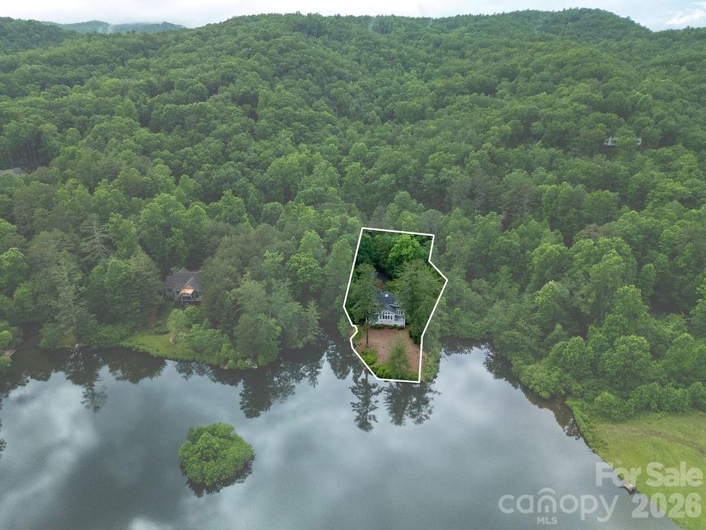 719 Deerlake Road Brevard, NC 28712 - Photo 8 of 40