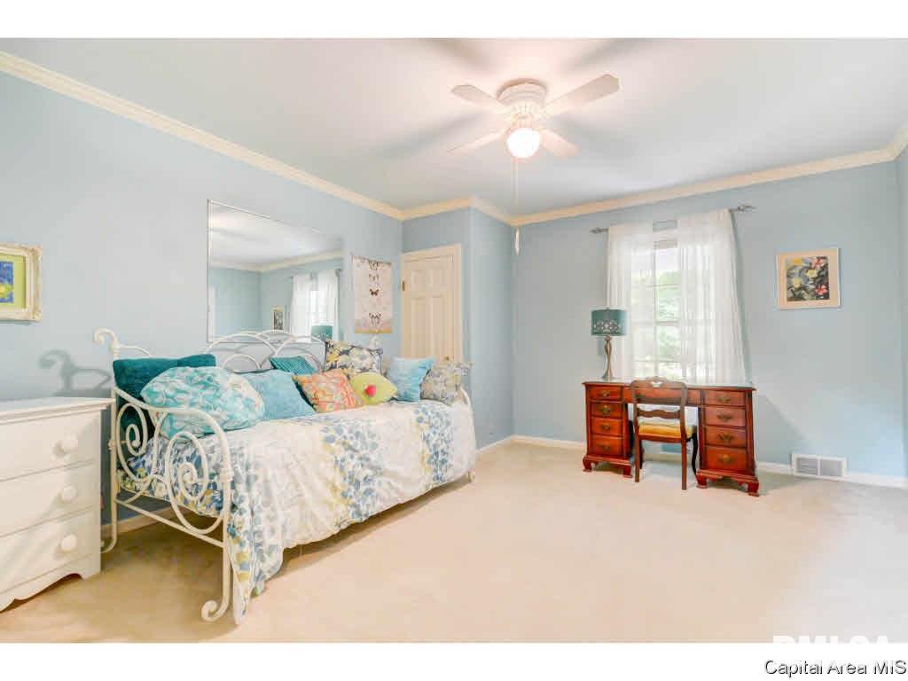 2001 South Wiggins Avenue Springfield, IL 62704 - Photo 25 of 36 Gallery Image 25