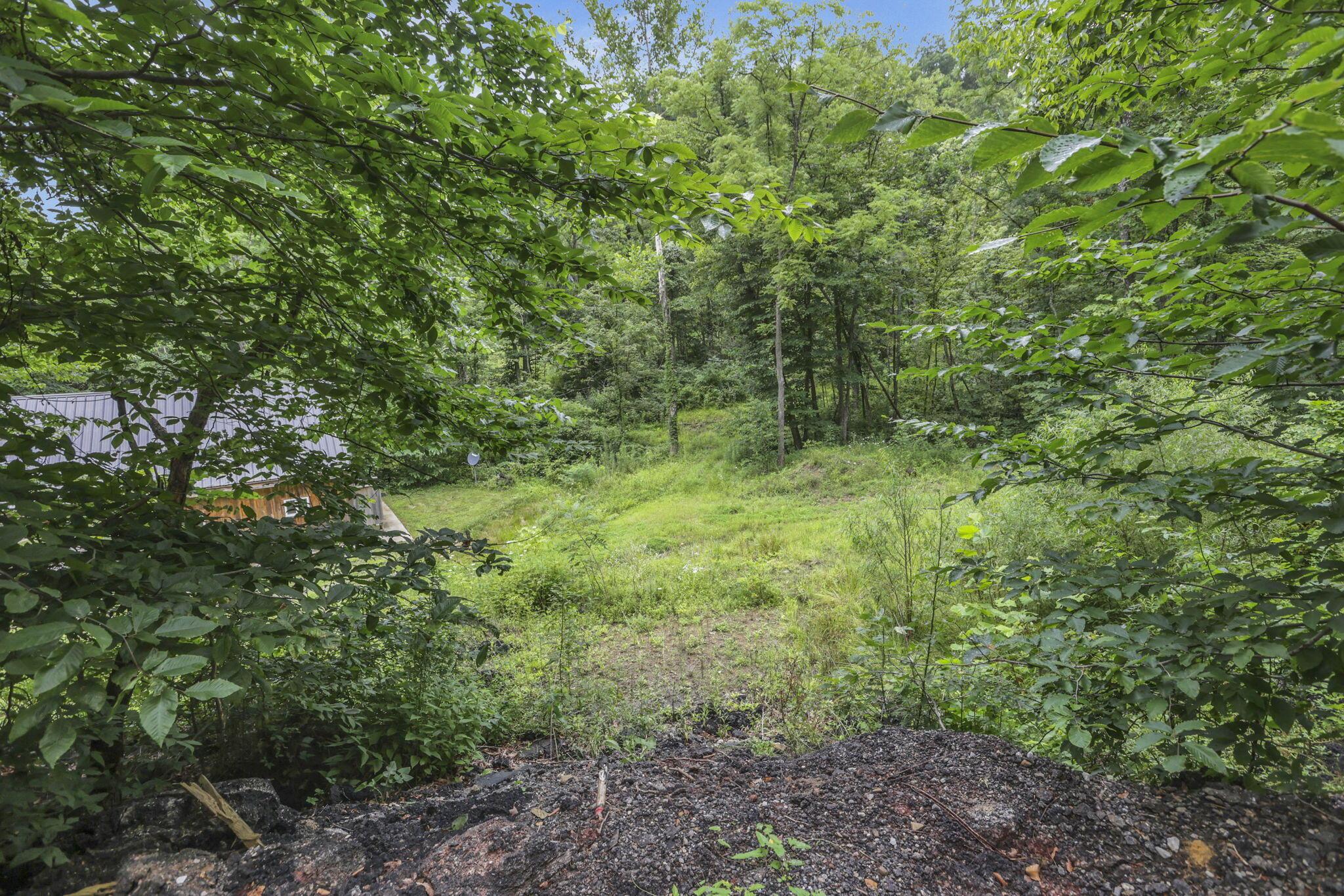 0 Greens Run Road Glouster, OH 45732 - Photo 113 of 121 113-web-or-mls-LO5A2123