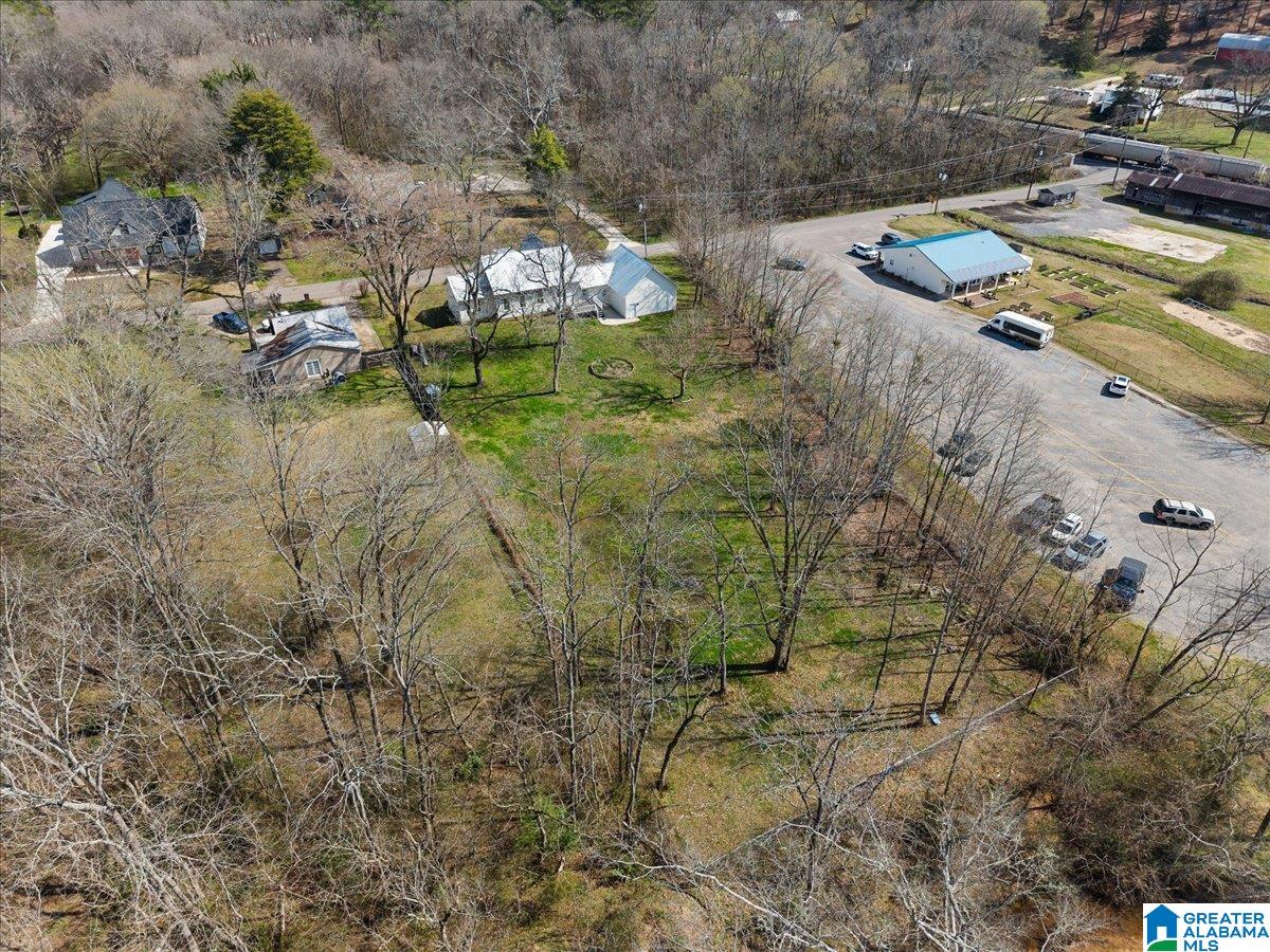 251 Robinson Street Springville, AL 35146 - Photo 47 of 59