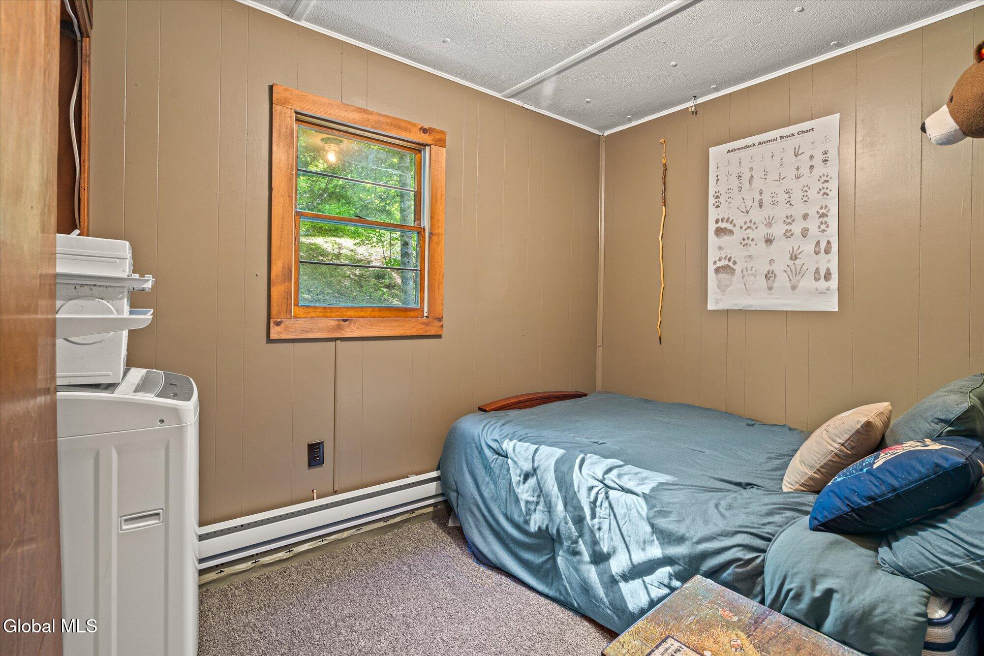 18 Miller Road Schroon, NY 12870 - Photo 13 of 17 07-ADK-7