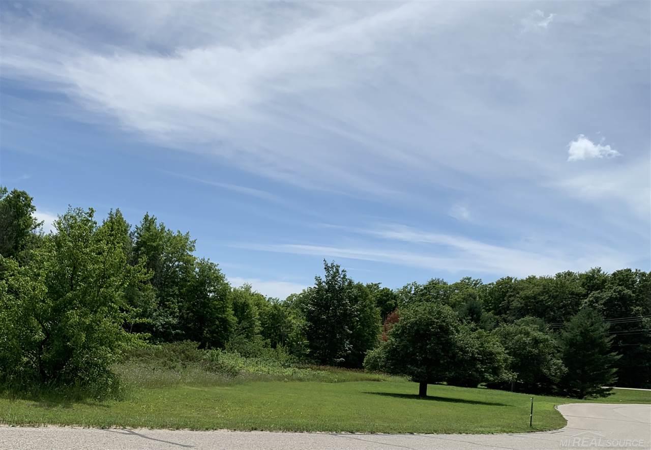 6749 South Pleasantview Road Harbor Springs, MI 49740 - Photo 3 of 8 Frontage