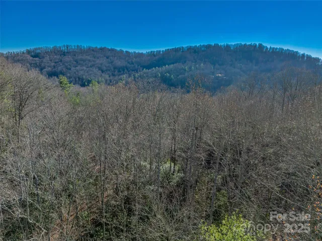 $30,000 | Tbd Ladys Fern Trail, Unit 9, Hendersonville, NC 28739