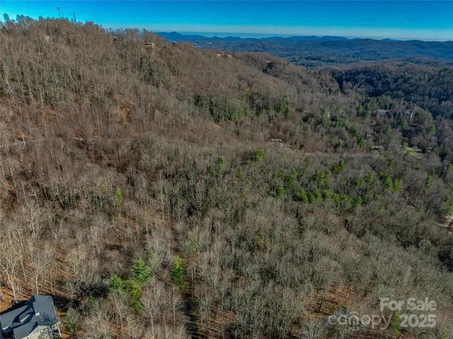 $30,000 | Tbd Ladys Fern Trail, Unit 9, Hendersonville, NC 28739