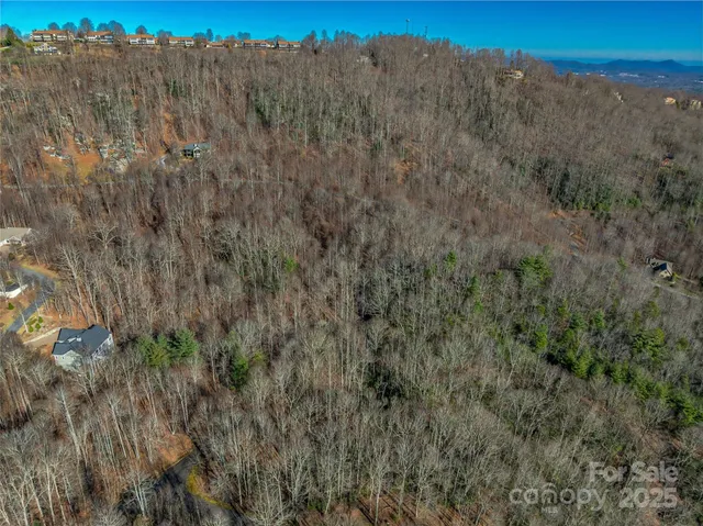 $30,000 | Tbd Ladys Fern Trail, Unit 9, Hendersonville, NC 28739