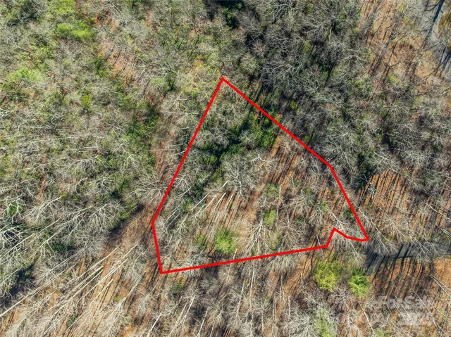 $30,000 | Tbd Ladys Fern Trail, Unit 9, Hendersonville, NC 28739