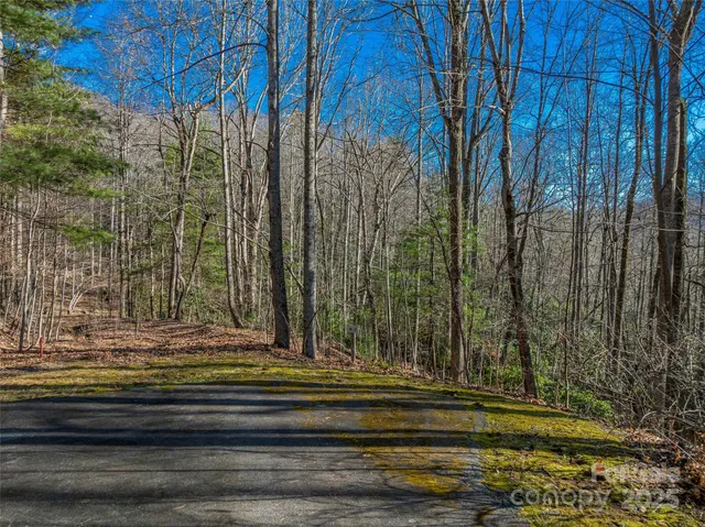 $30,000 | Tbd Ladys Fern Trail, Unit 9, Hendersonville, NC 28739