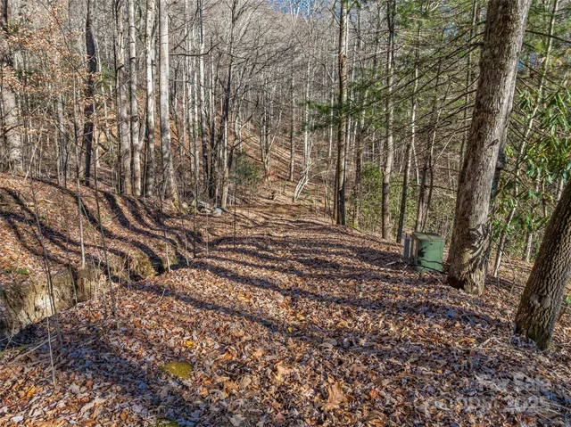 $30,000 | Tbd Ladys Fern Trail, Unit 9, Hendersonville, NC 28739