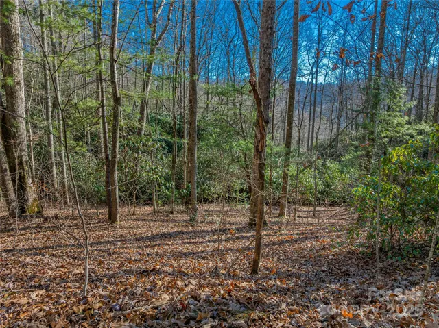 $30,000 | Tbd Ladys Fern Trail, Unit 9, Hendersonville, NC 28739
