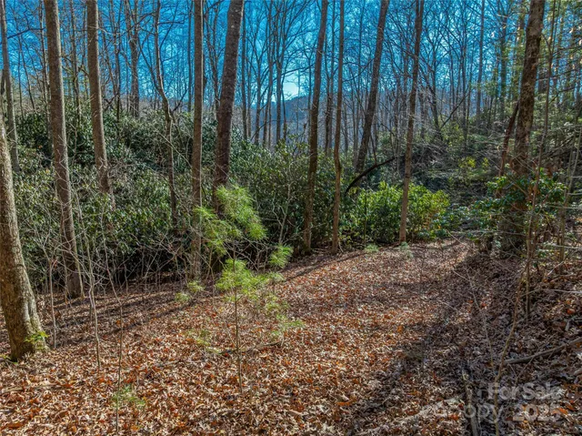$30,000 | Tbd Ladys Fern Trail, Unit 9, Hendersonville, NC 28739