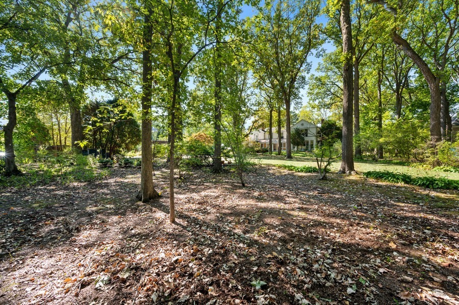 39 Locust Road Winnetka, IL 60093 - Photo 6 of 16 a view of a forest with trees in the background