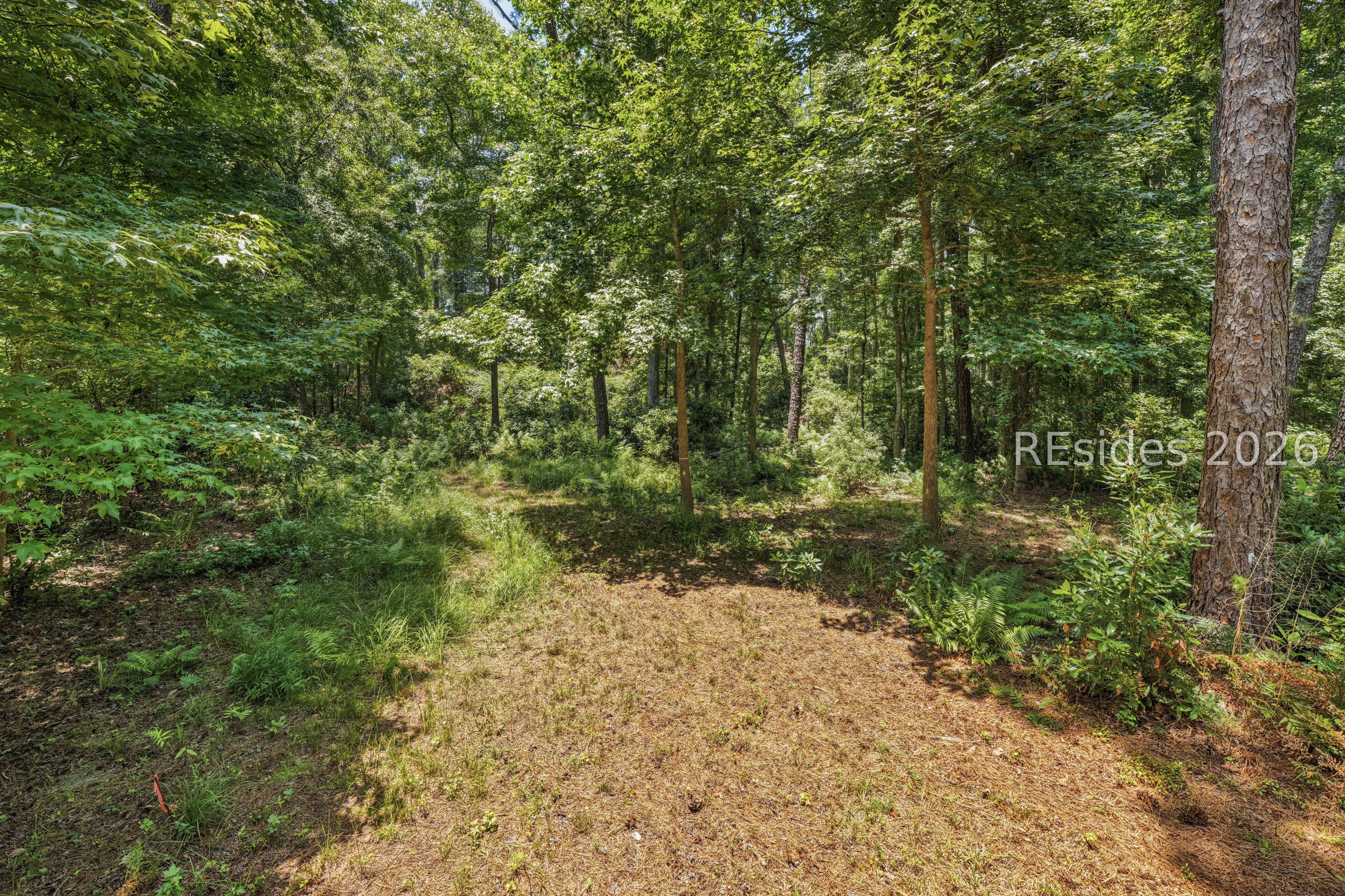 36 Leacybridge Road Bluffton, SC 29910 - Photo 11 of 33